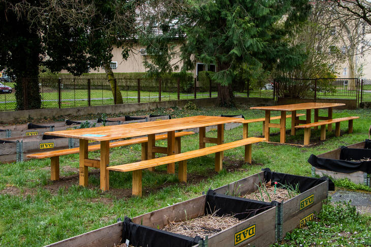 K�z�ss�gi kerti b�torzat �tad�sa
